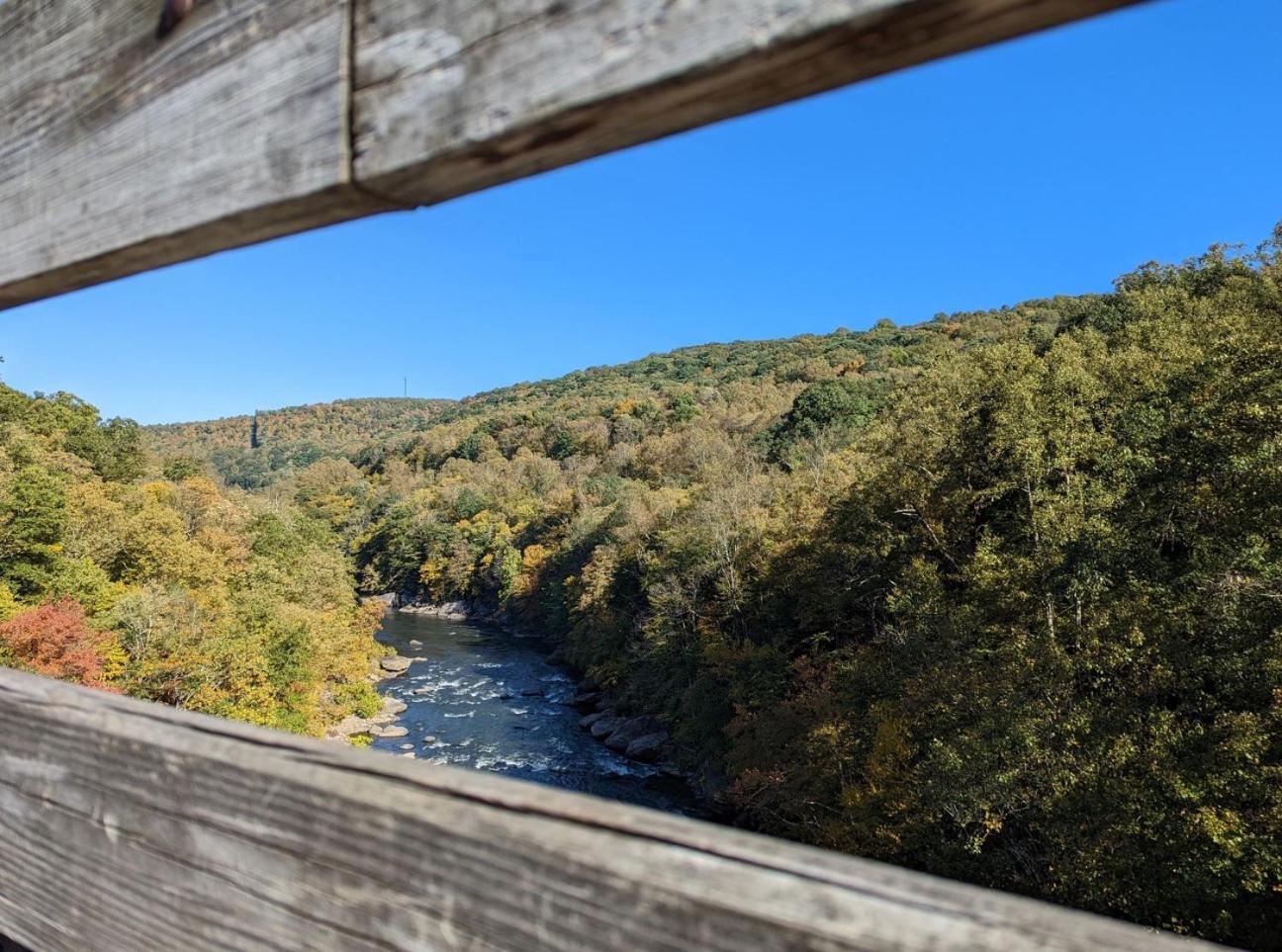 Stay In Ohiopyle Near Everything Including The Trail, Ohiopyle Pa Farmington Exteriör bild