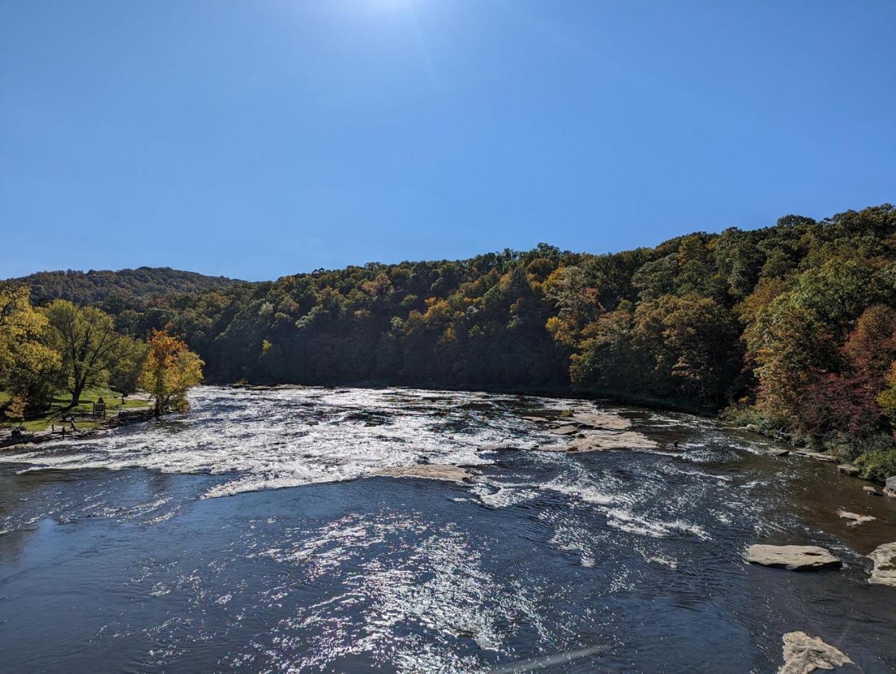 Stay In Ohiopyle Near Everything Including The Trail, Ohiopyle Pa Farmington Exteriör bild