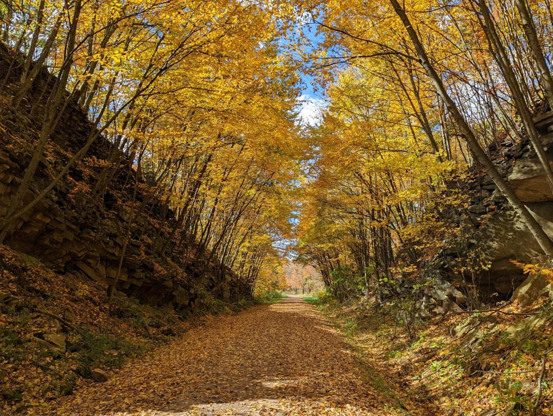Stay In Ohiopyle Near Everything Including The Trail, Ohiopyle Pa Farmington Exteriör bild